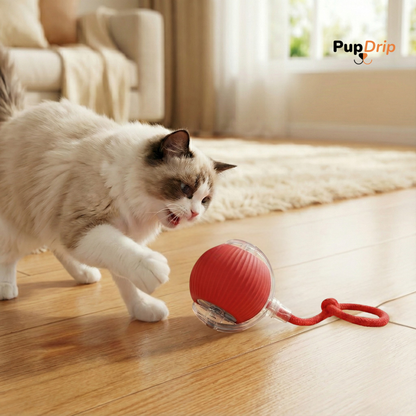 Automatic Dogs and Cats Interactive Ball