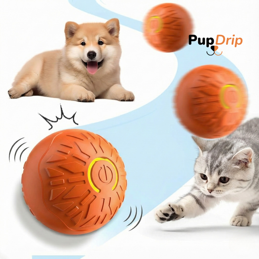 Dogs and Cats Rolling Ball
