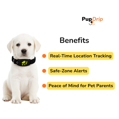 Pet GPS Tracker