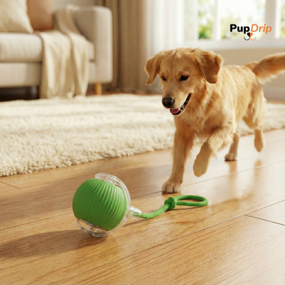 Automatic Dogs and Cats Interactive Ball