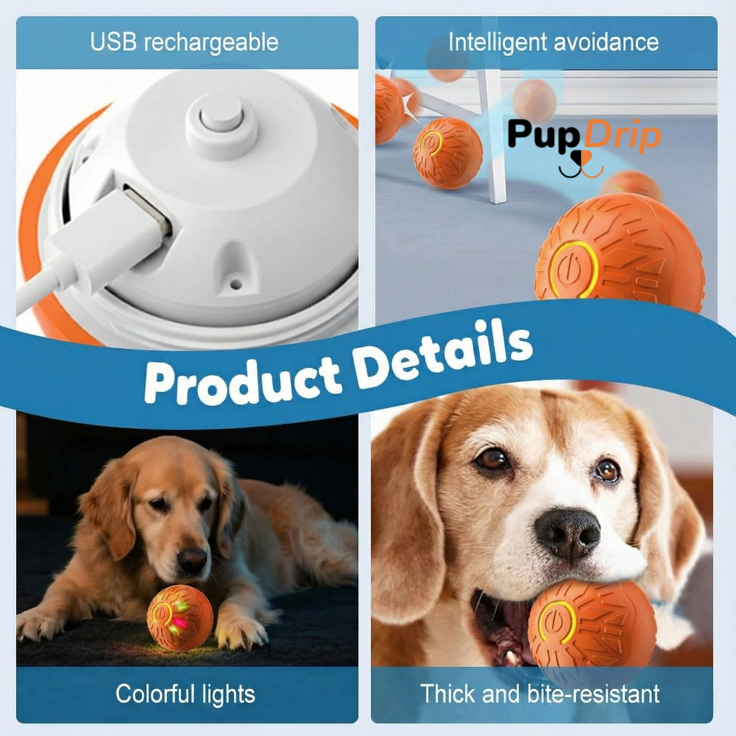 Dogs and Cats Rolling Ball