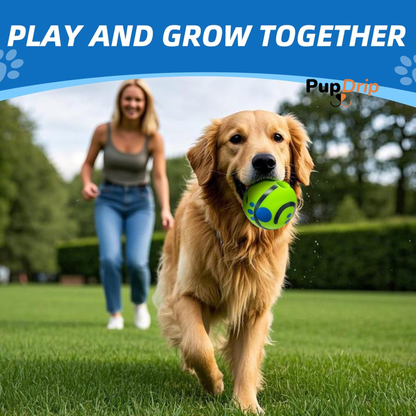 Interactive Dog Ball