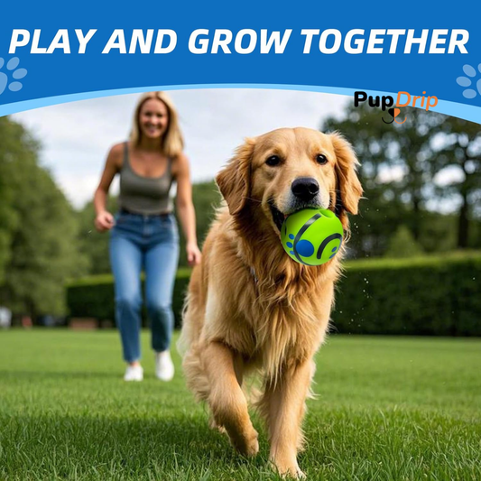 Interactive Dog Ball