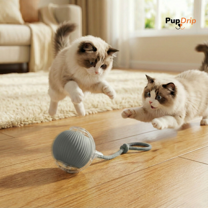 Automatic Dogs and Cats Interactive Ball