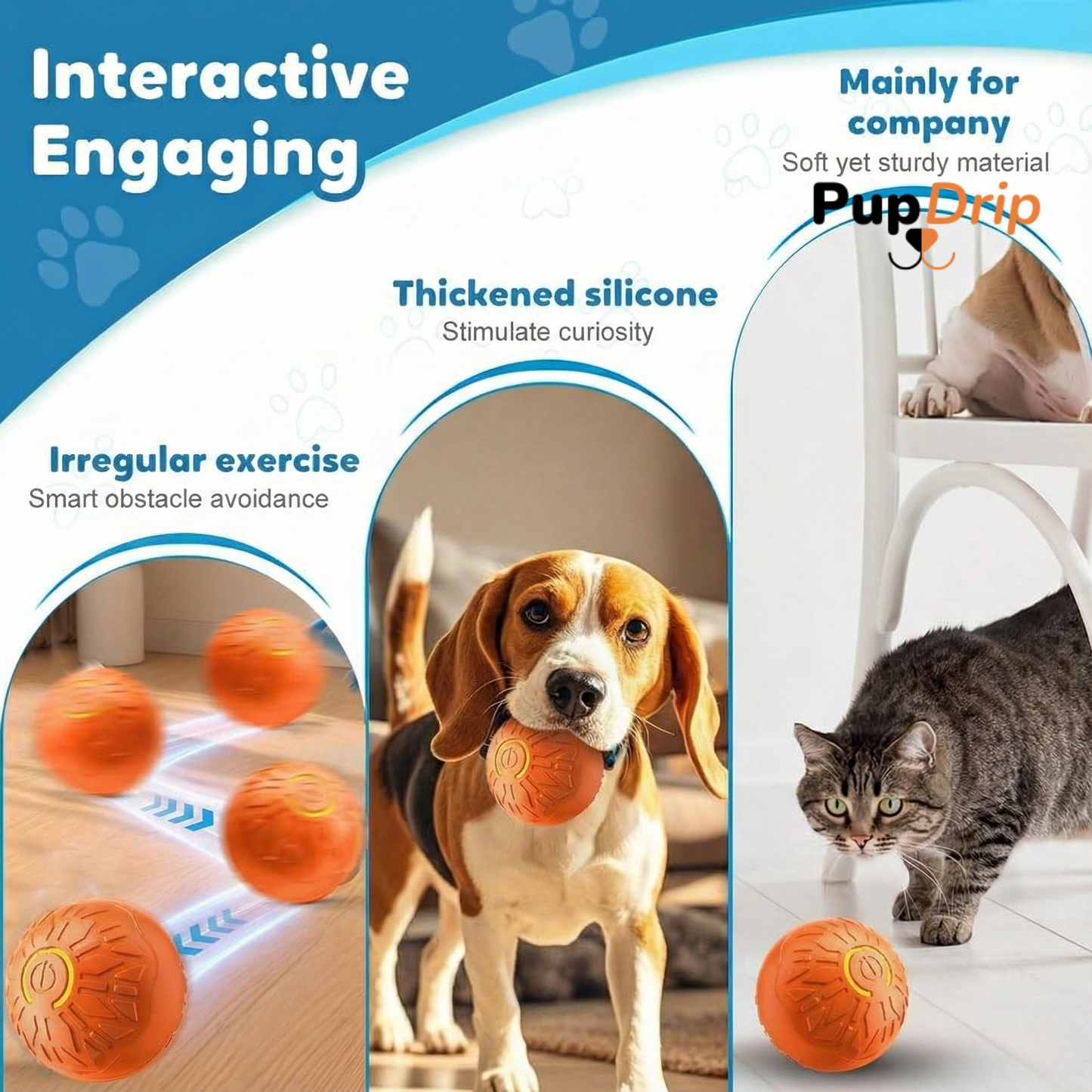 Dogs and Cats Rolling Ball