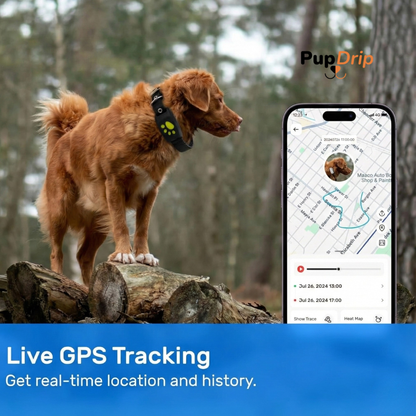 Pet GPS Tracker
