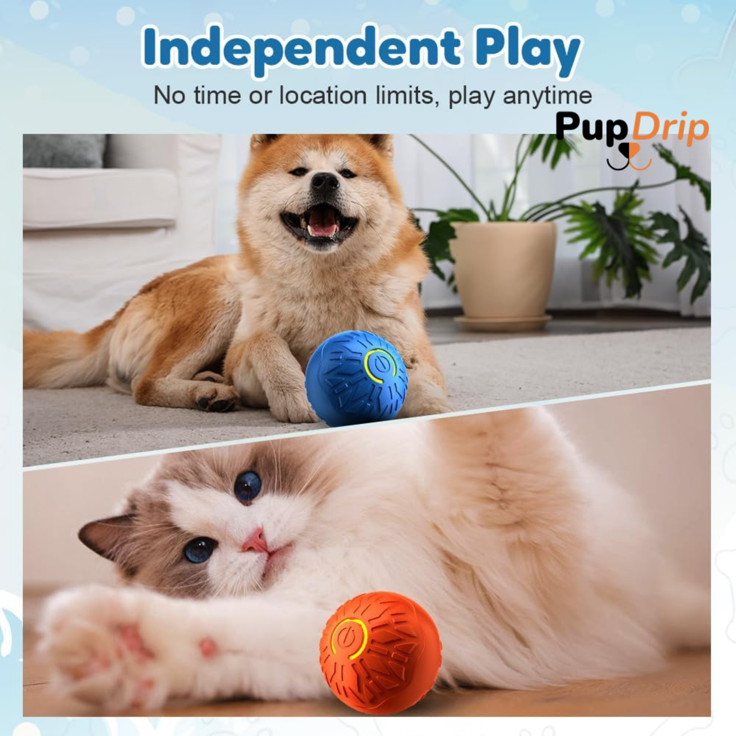 Dogs and Cats Rolling Ball