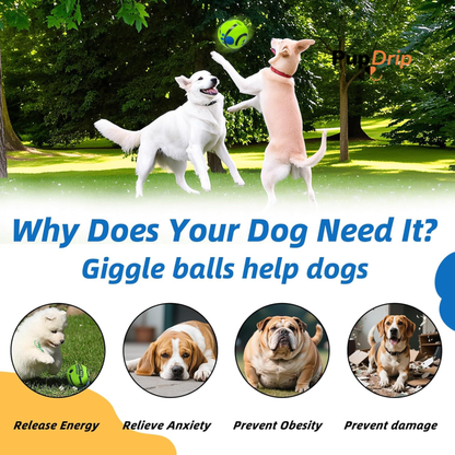 Interactive Dog Ball