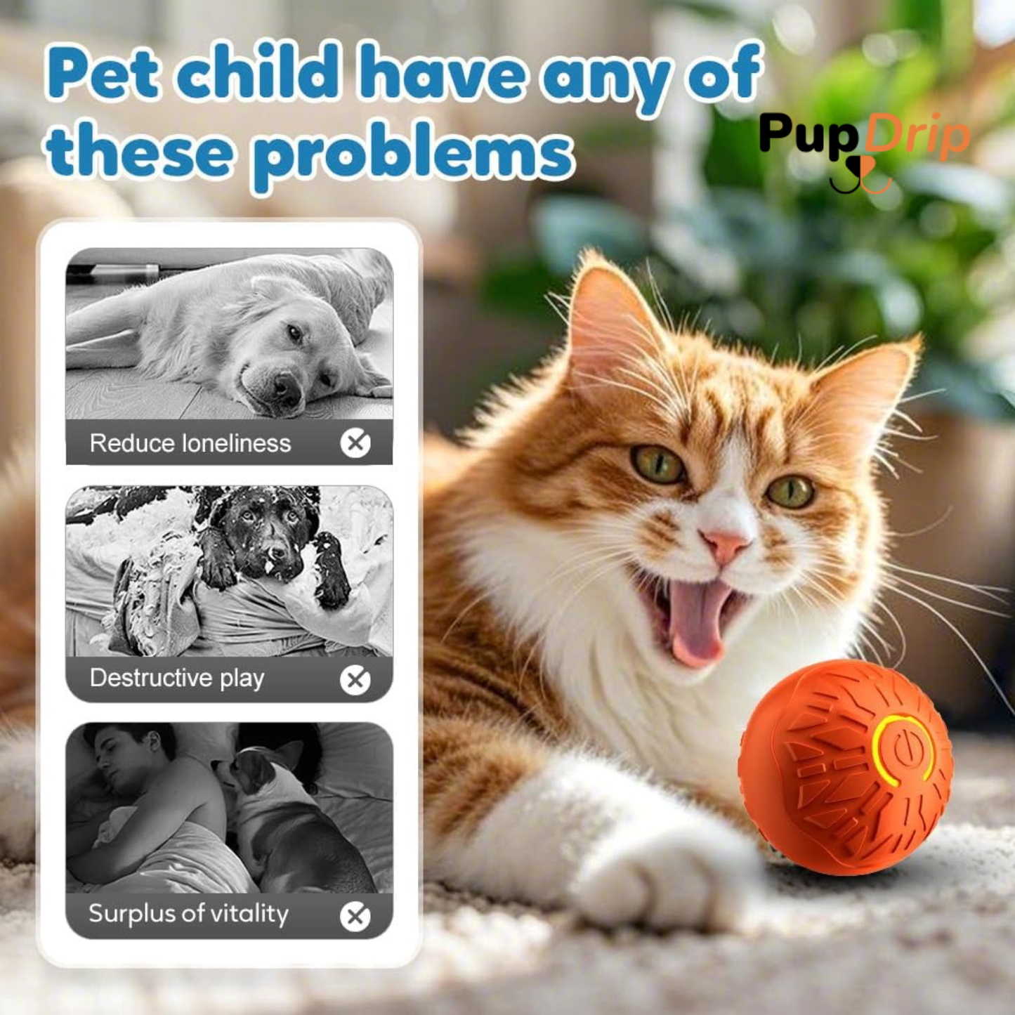 Dogs and Cats Rolling Ball