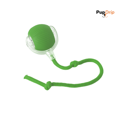 Automatic Dogs and Cats Interactive Ball