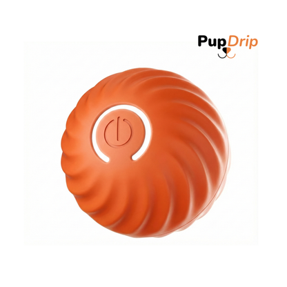 Dogs and Cats Rolling Ball