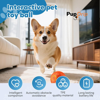 Dogs and Cats Rolling Ball