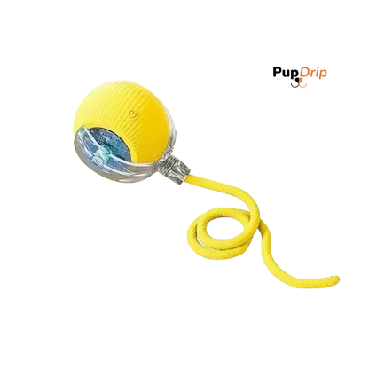Automatic Dogs and Cats Interactive Ball