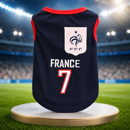 Dog And Cat World Cup Football Jersey